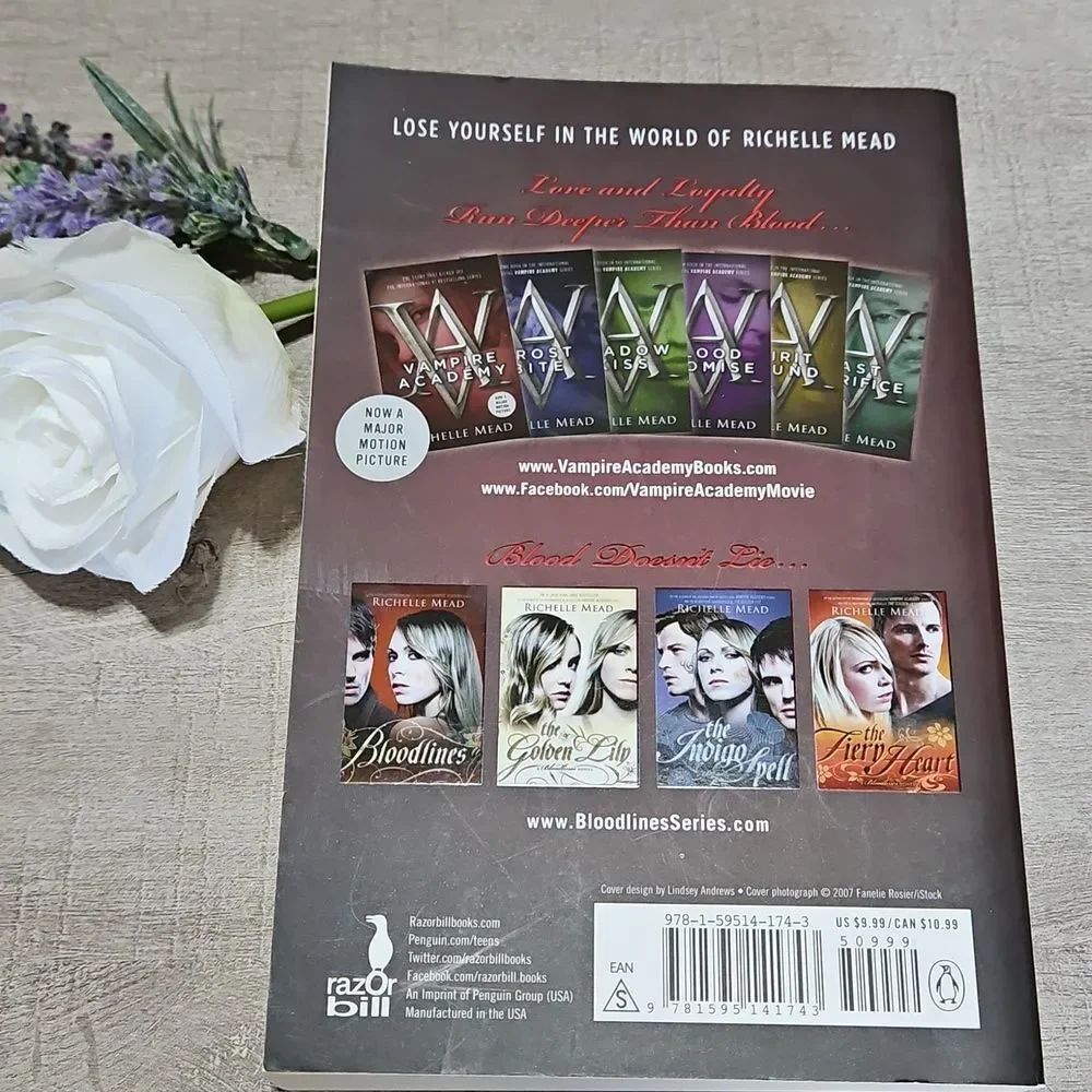 Vampire Academy Book by Richelle Mead - Picture 2 of 7